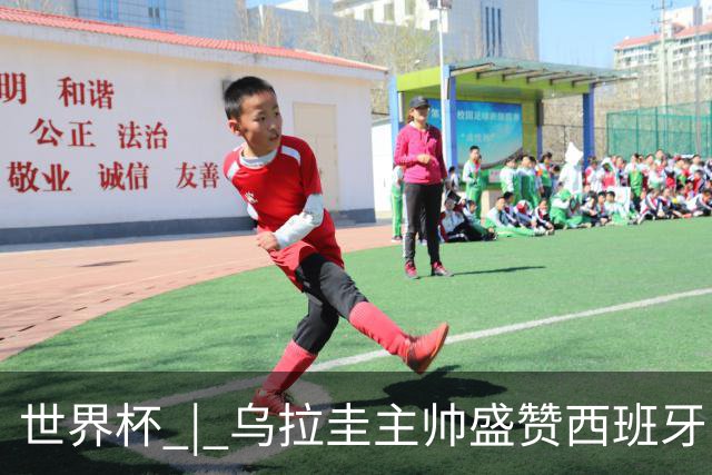 世界杯 | 乌拉圭主帅盛赞西班牙“精致足球”